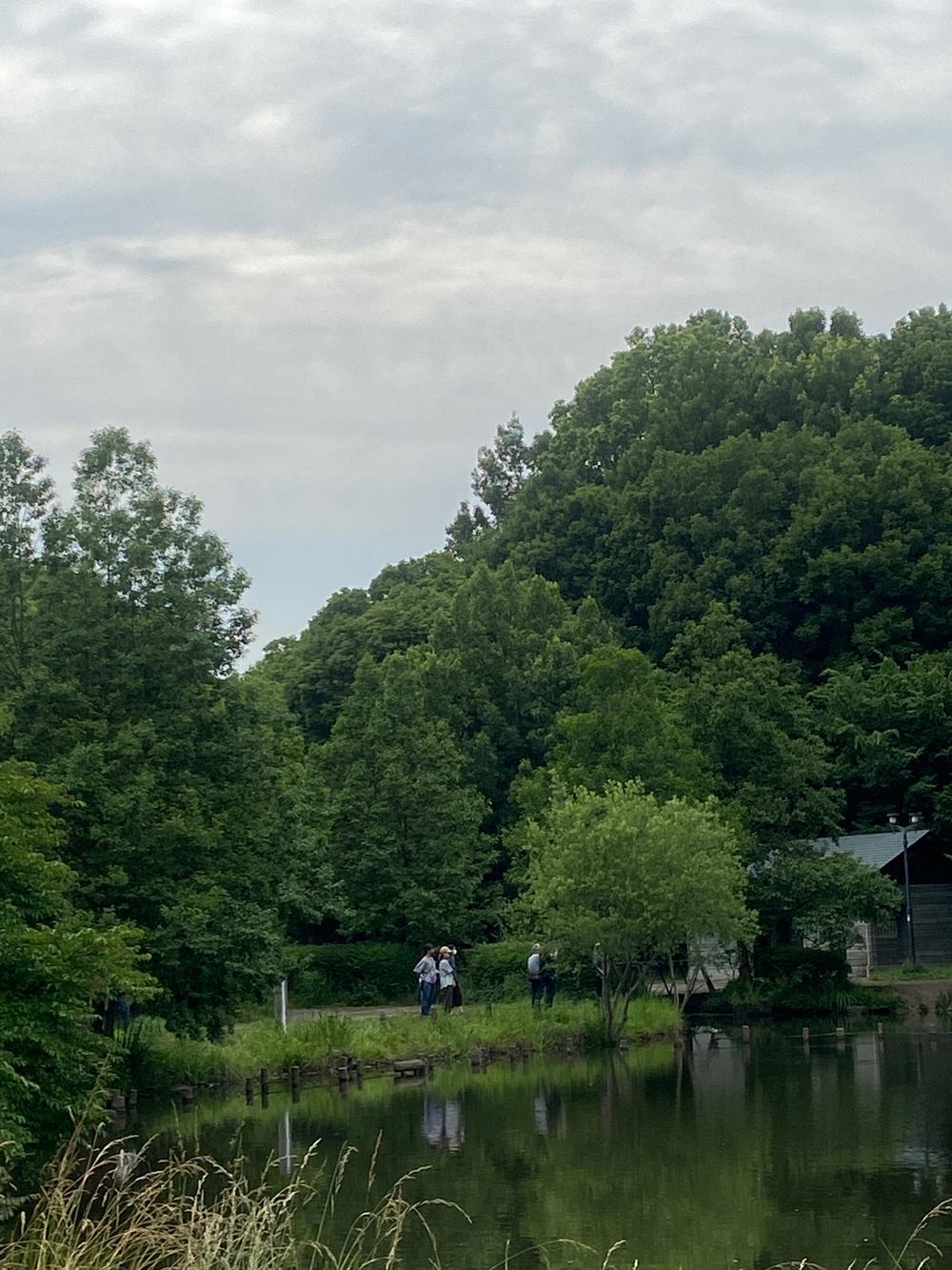 都筑緑道は都市型クロカンフォレストコース🍃❗️の写真31