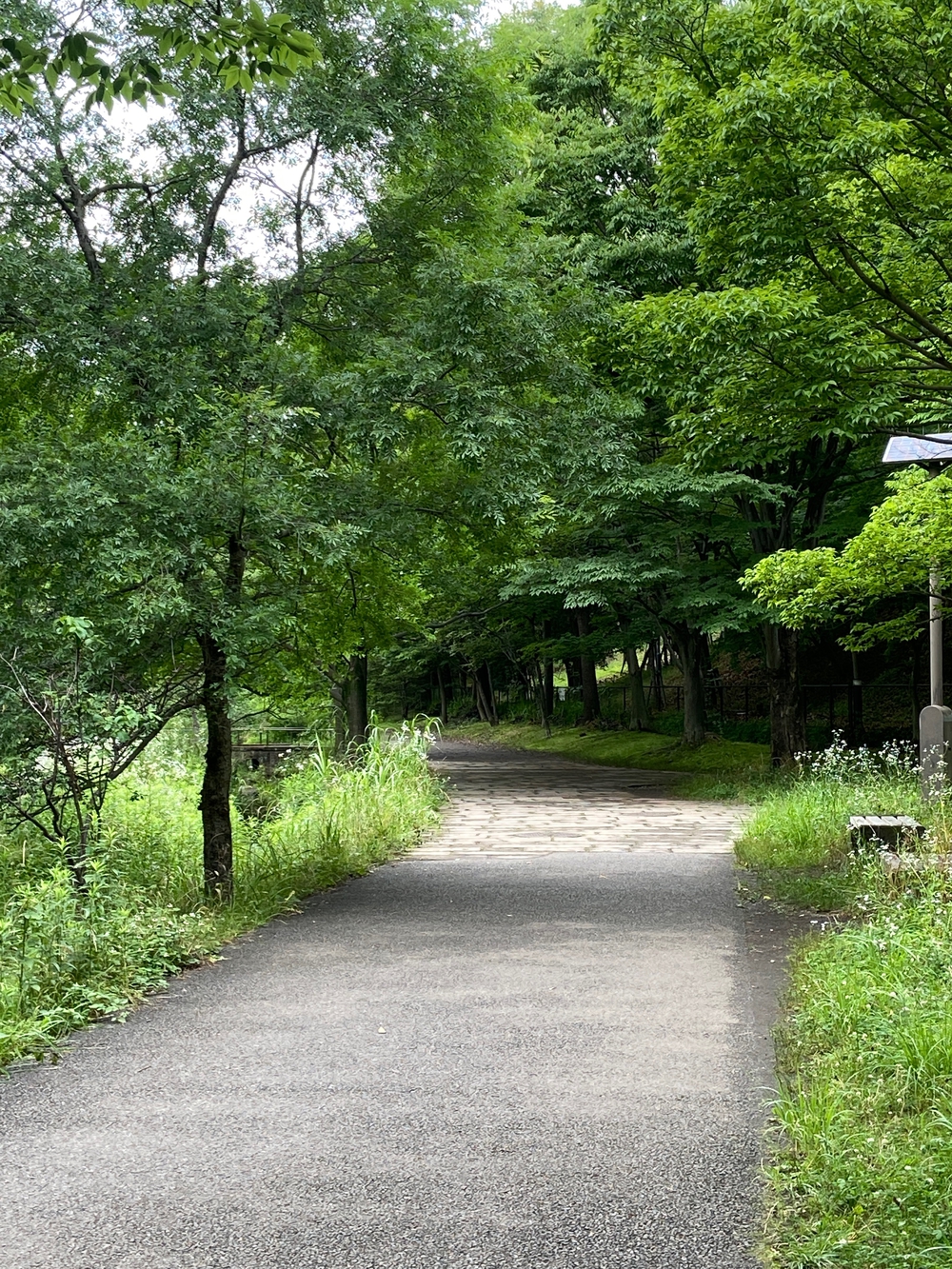 都筑緑道は都市型クロカンフォレストコース🍃❗️の写真33
