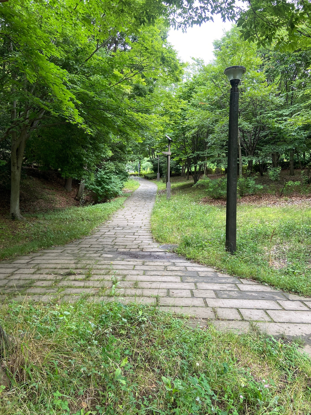 都筑緑道は都市型クロカンフォレストコース🍃❗️の写真34