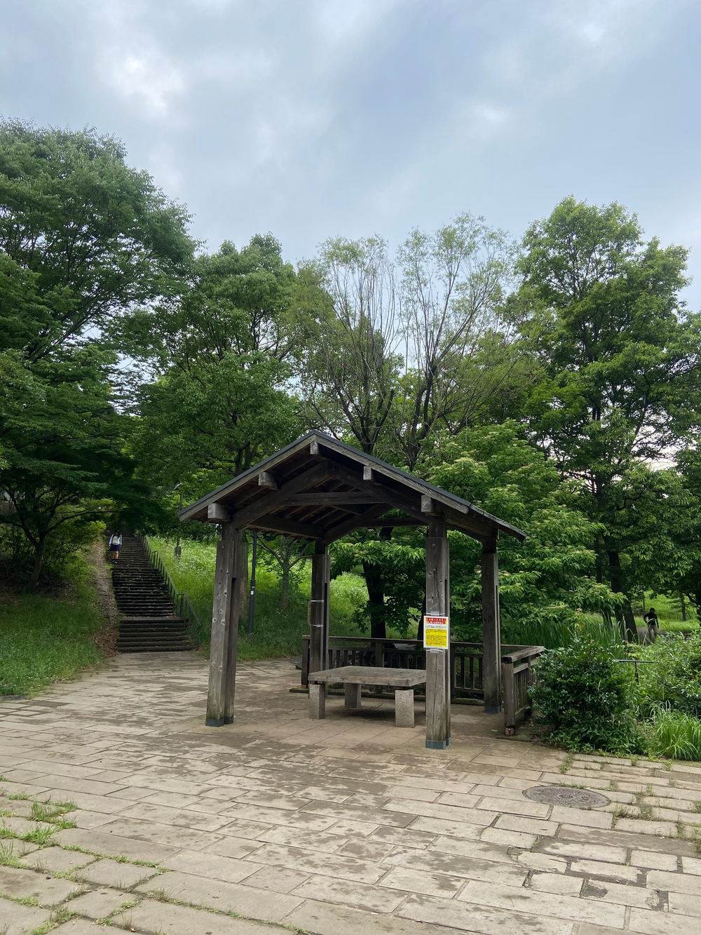 都筑緑道は都市型クロカンフォレストコース🍃❗️の写真37