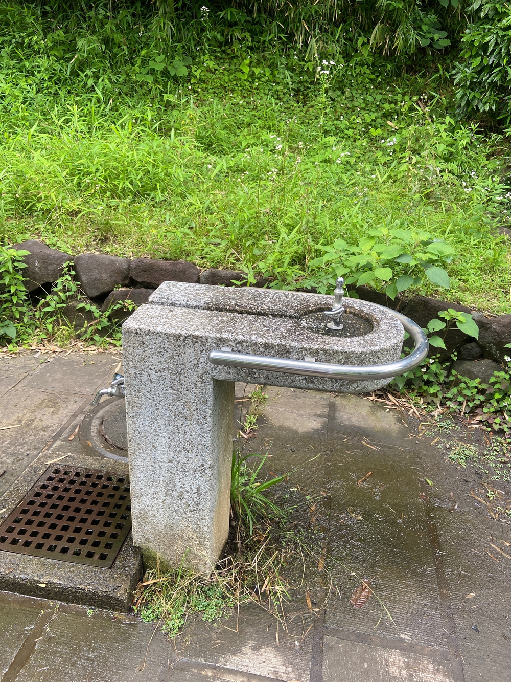 都筑緑道は都市型クロカンフォレストコース🍃❗️の写真38