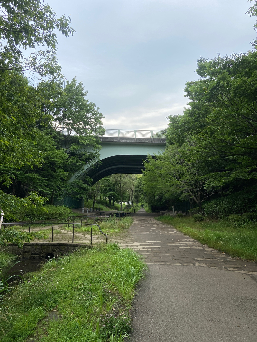 都筑緑道は都市型クロカンフォレストコース🍃❗️の写真40