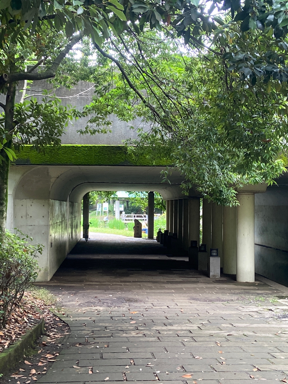 都筑緑道は都市型クロカンフォレストコース🍃❗️の写真43