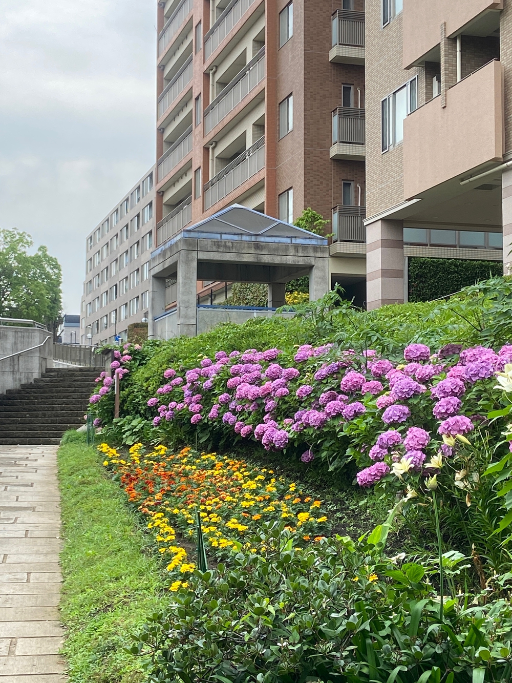 都筑緑道は都市型クロカンフォレストコース🍃❗️の写真44