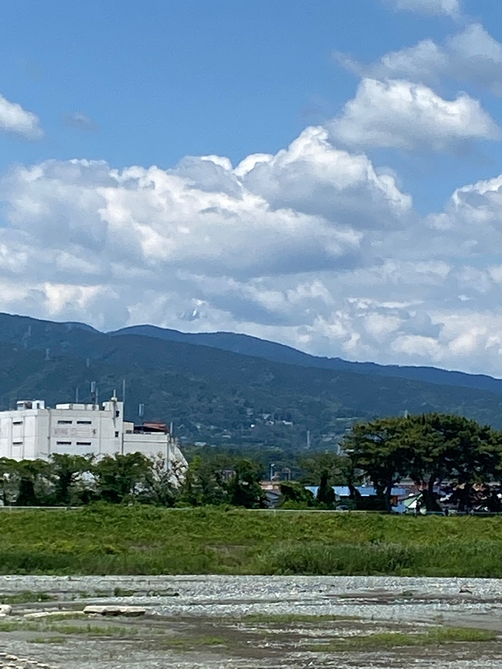やま、かわ、あおぞら　酒匂川沿いを松田まで❗️の写真3