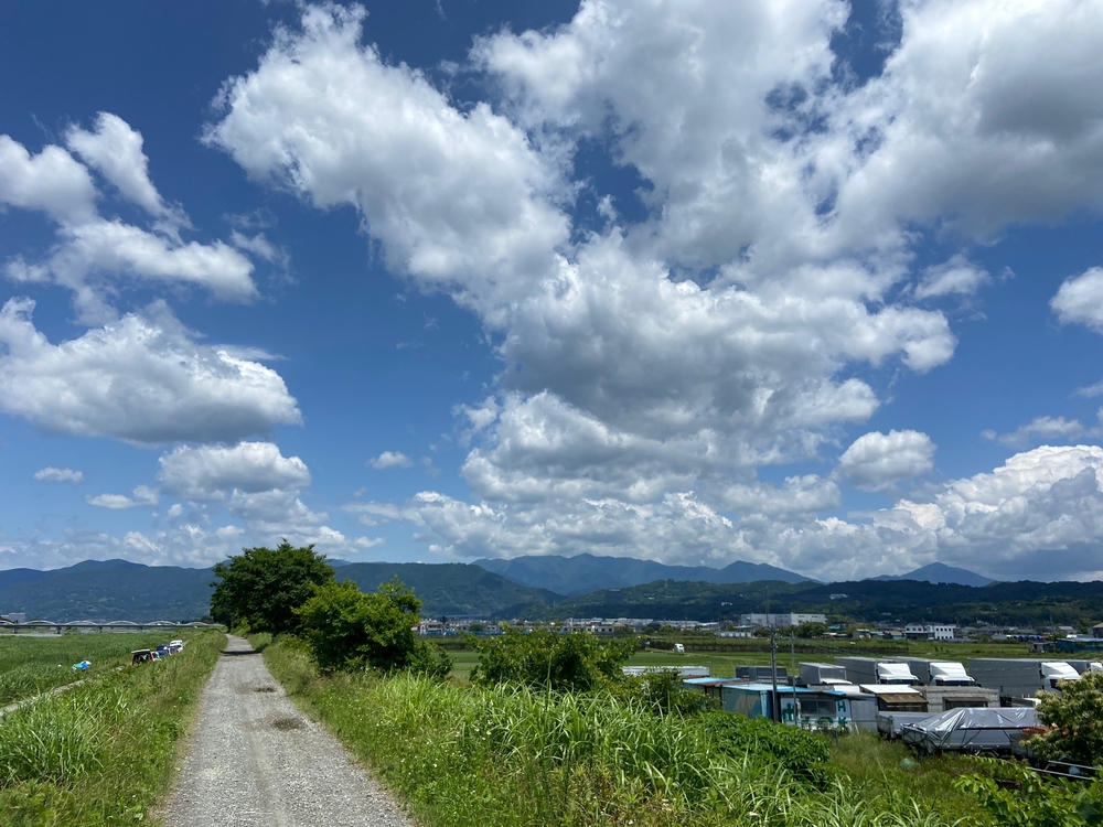 やま、かわ、あおぞら　酒匂川沿いを松田まで❗️の写真7