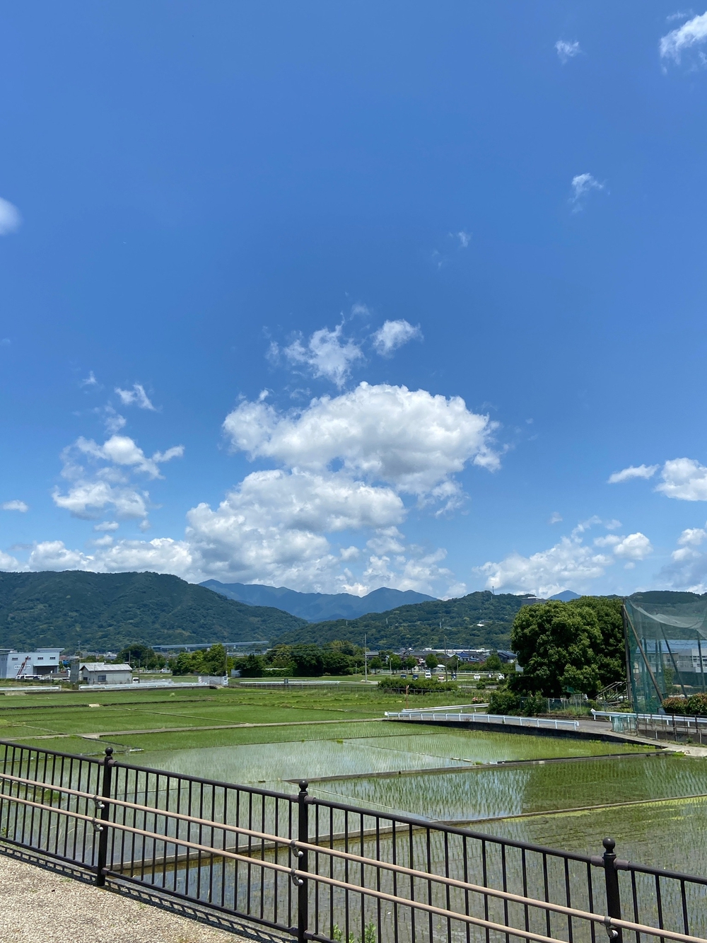 やま、かわ、あおぞら　酒匂川沿いを松田まで❗️の写真12