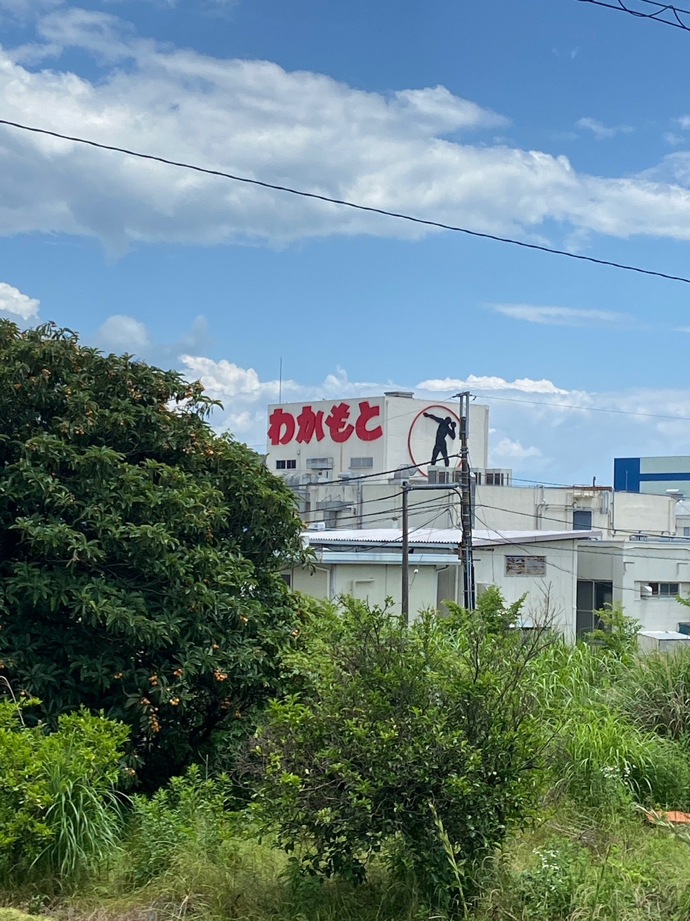 やま、かわ、あおぞら　酒匂川沿いを松田まで❗️の写真15