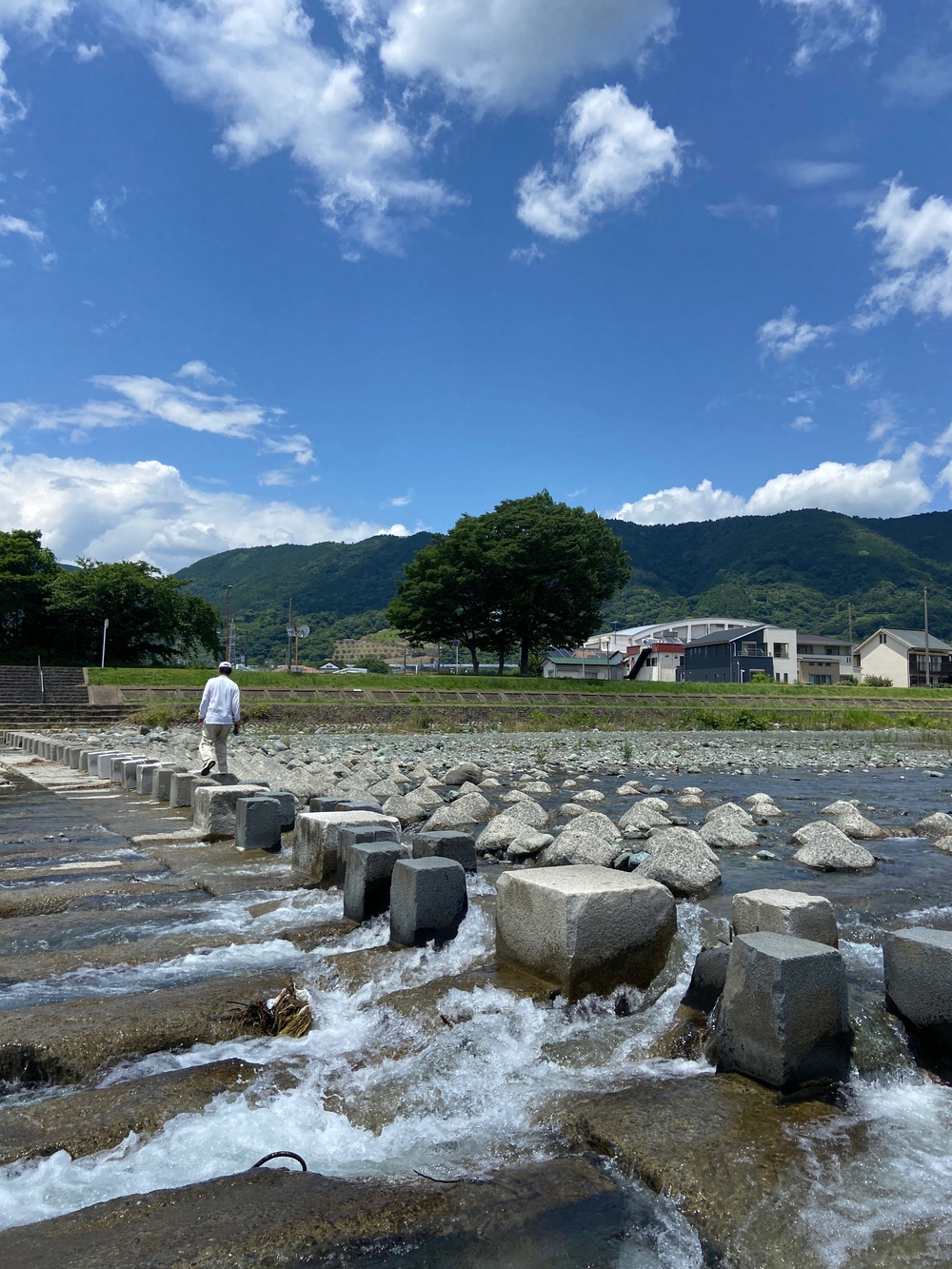 やま、かわ、あおぞら　酒匂川沿いを松田まで❗️の写真18