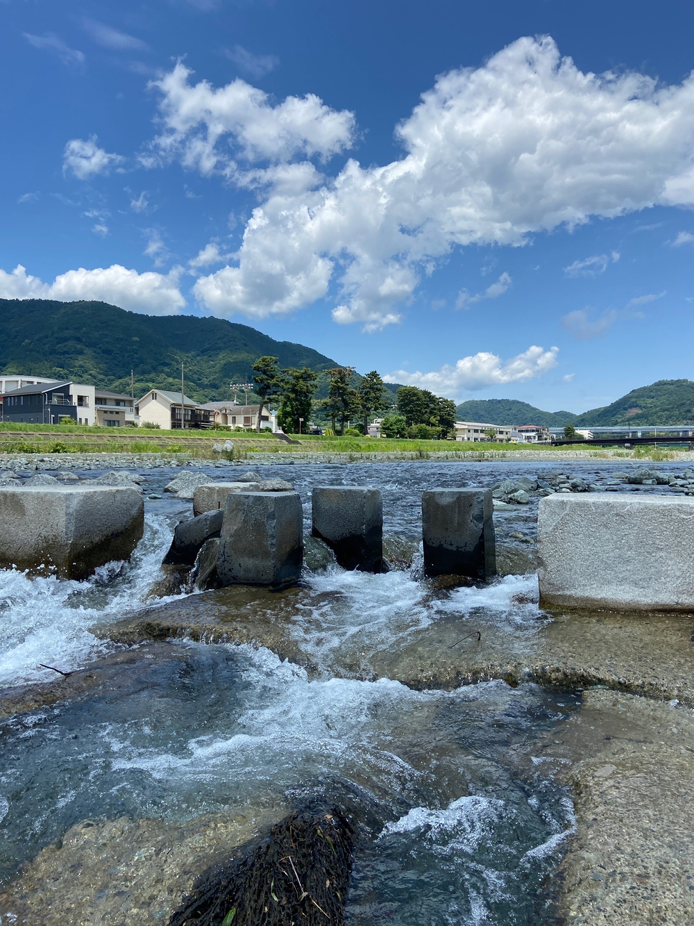 やま、かわ、あおぞら　酒匂川沿いを松田まで❗️の写真19