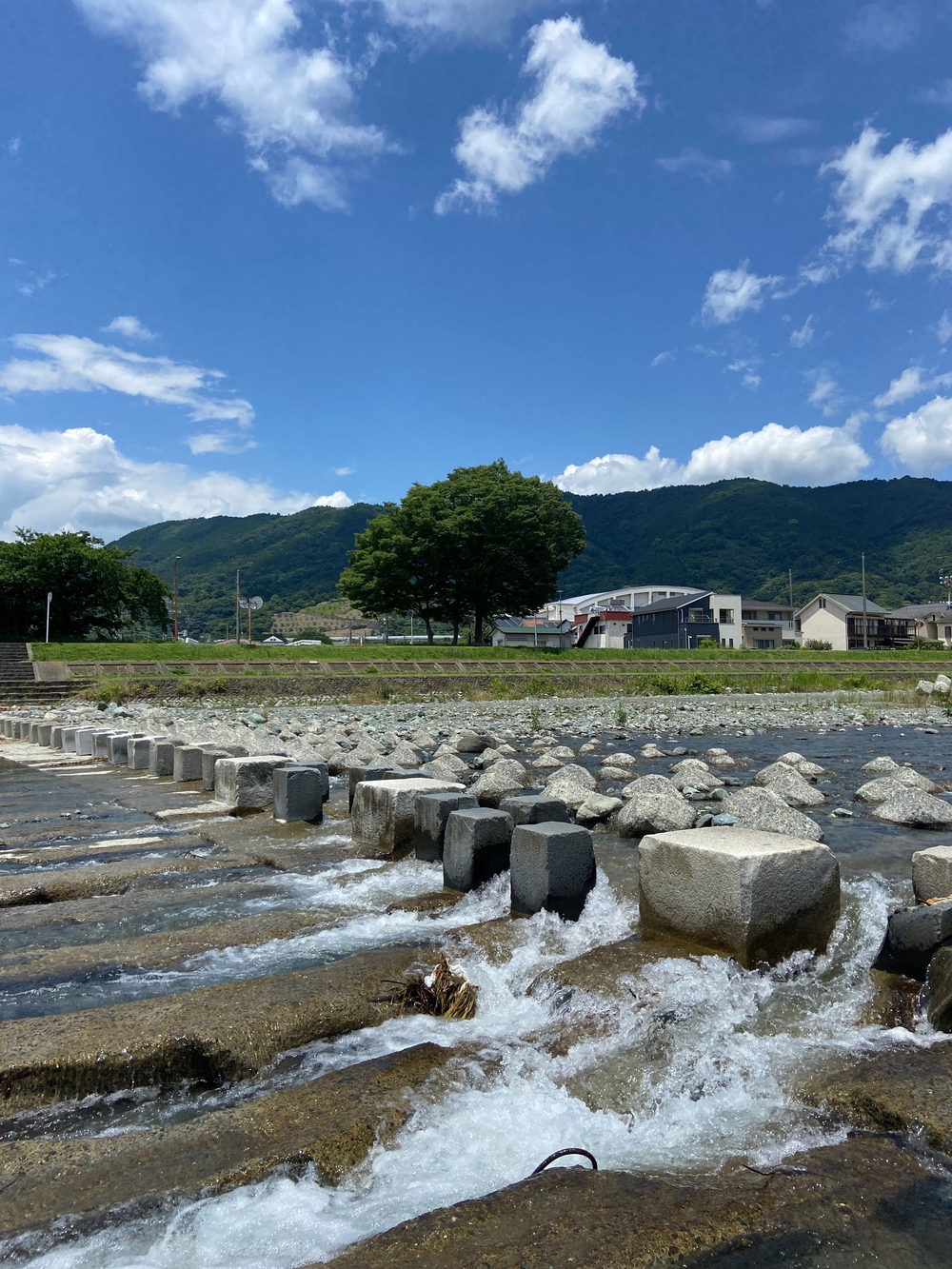 やま、かわ、あおぞら　酒匂川沿いを松田まで❗️の写真20