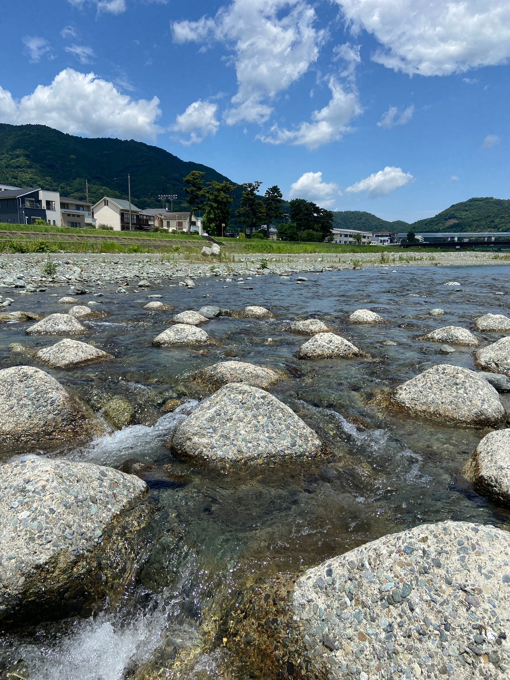 やま、かわ、あおぞら　酒匂川沿いを松田まで❗️の写真21