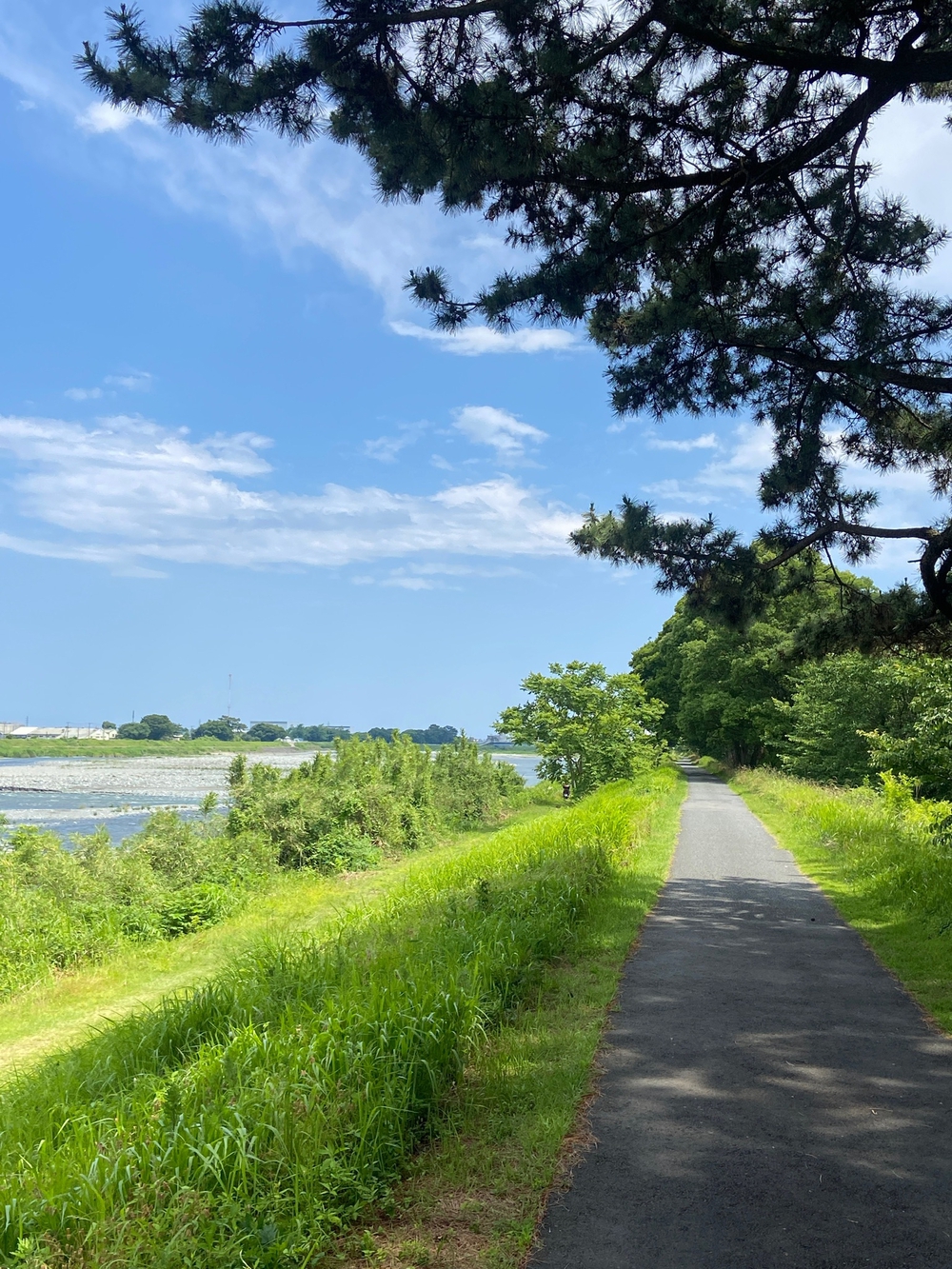 やま、かわ、あおぞら　酒匂川沿いを松田まで❗️の写真23