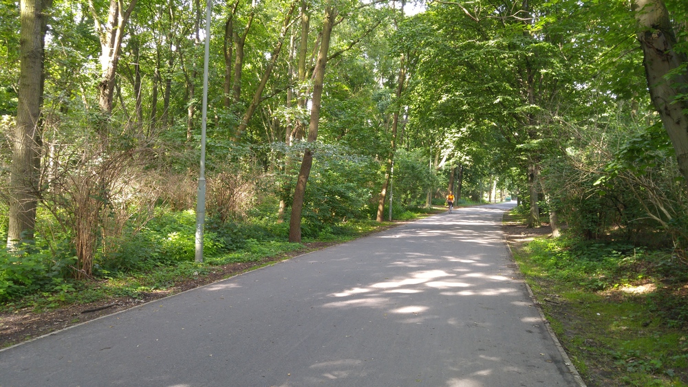 ベルリンの天使に逢いに行く ～ ベルリン・ティアガルテン & more ～の写真7