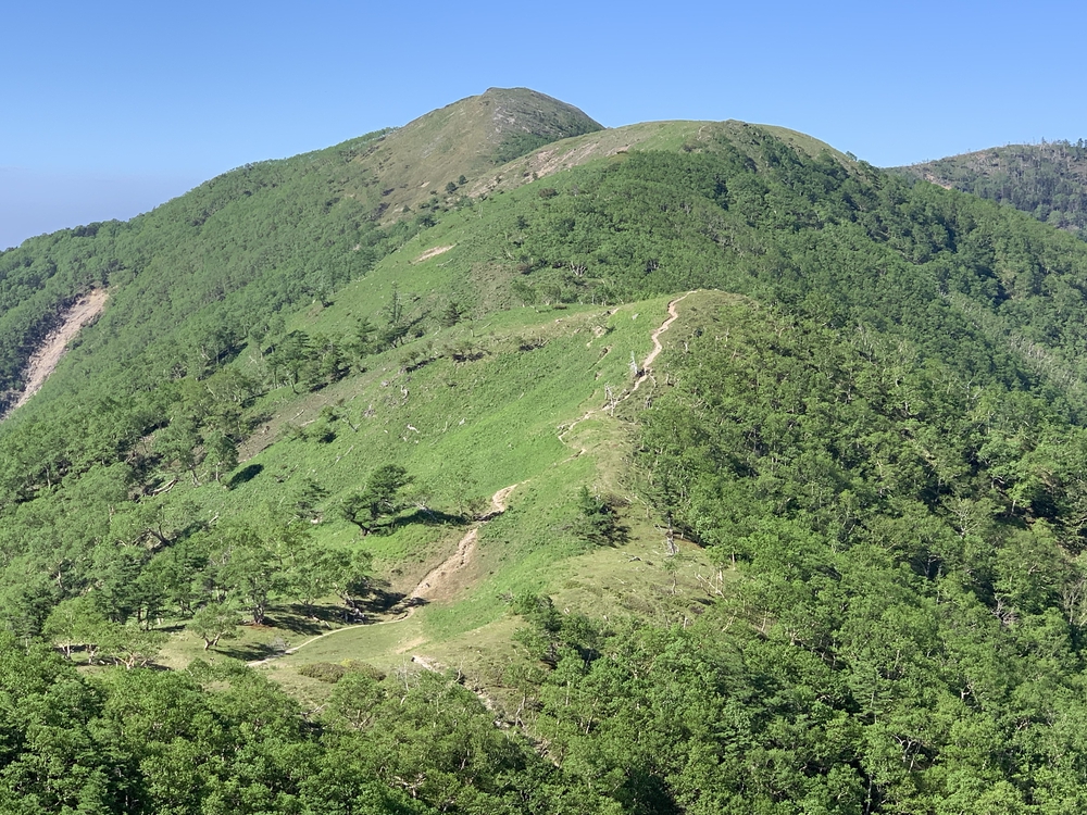 夏の奥日光 金精山～日光白根山 縦走の写真8