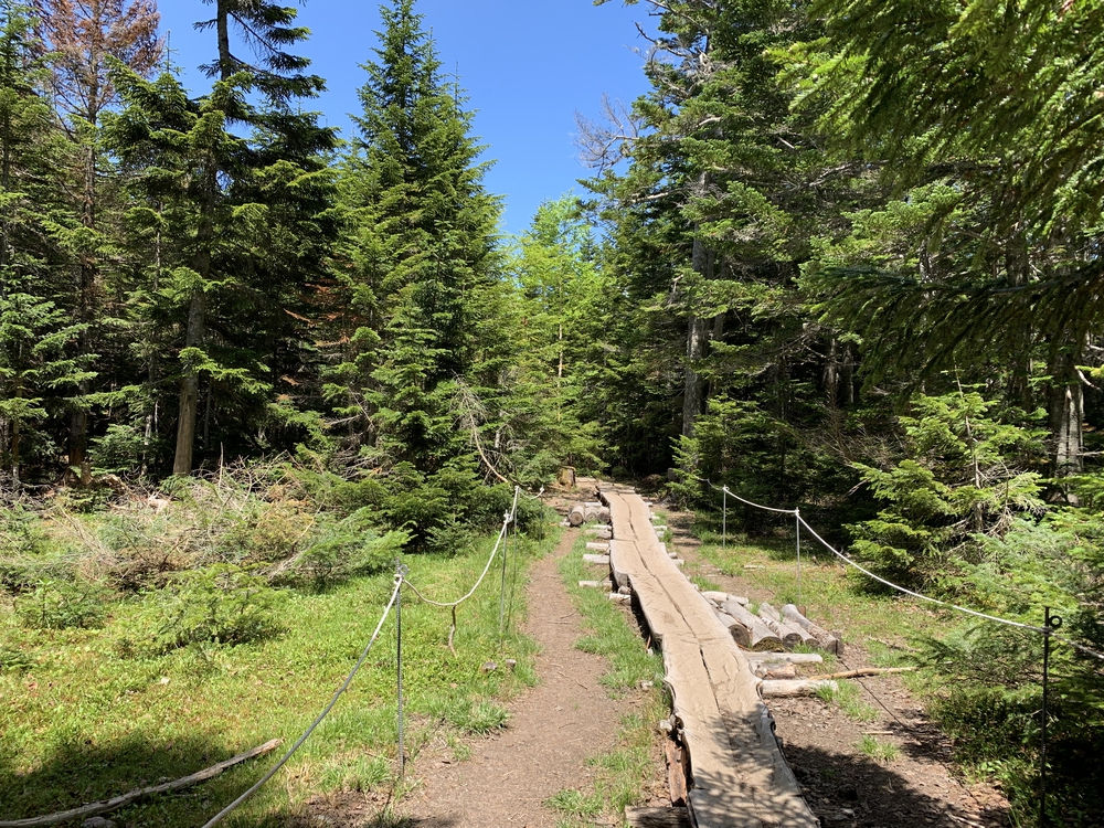 夏の奥日光 金精山～日光白根山 縦走の写真13