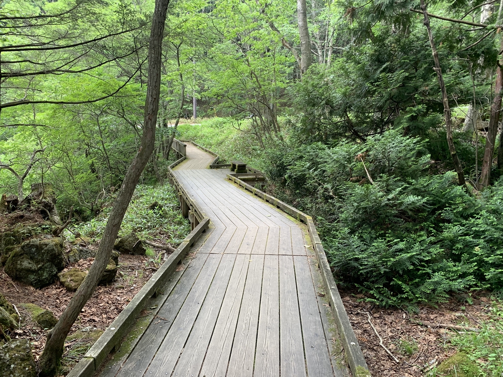 奥日光の「滝」を巡るコースの写真3