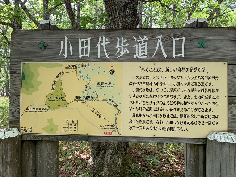 奥日光の「滝」を巡るコースの写真7