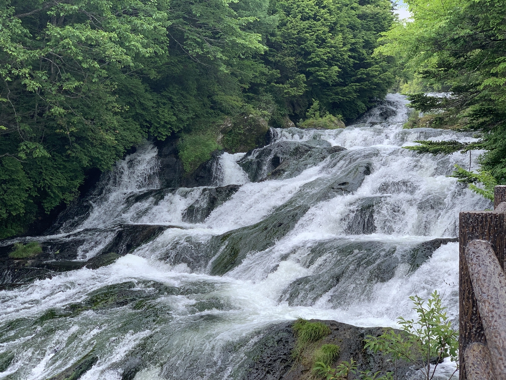 奥日光の「滝」を巡るコースの写真10