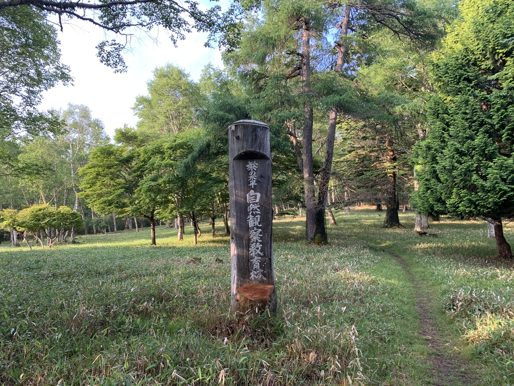 中禅寺湖と男体山を望む半月山トレイルの写真4