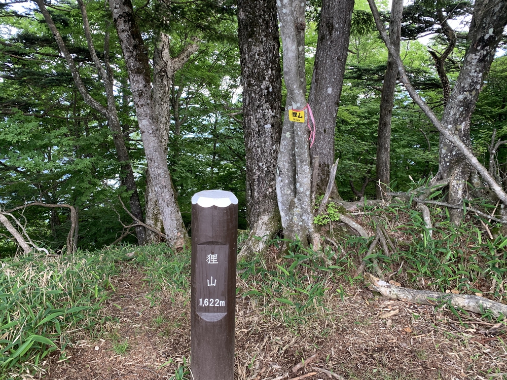 中禅寺湖と男体山を望む半月山トレイルの写真6