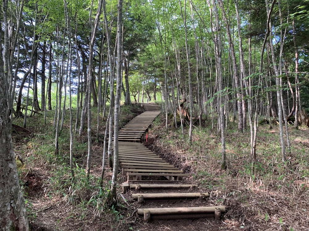 中禅寺湖と男体山を望む半月山トレイルの写真8
