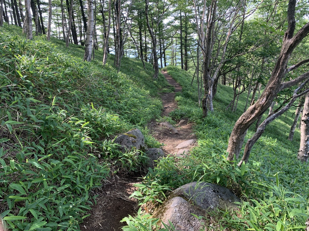 中禅寺湖と男体山を望む半月山トレイルの写真11