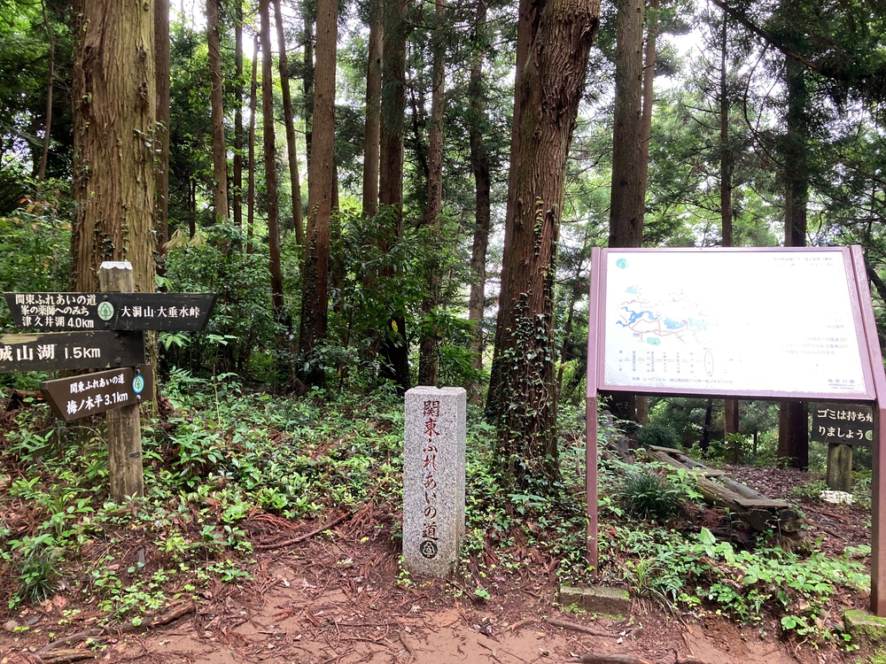 関東ふれあいの道　神奈川県　N o.14 峰の薬師へのみちの写真4