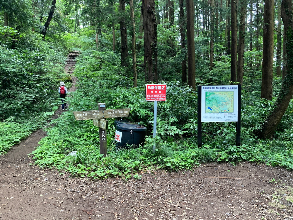 関東ふれあいの道　神奈川県　N o.14 峰の薬師へのみちの写真5