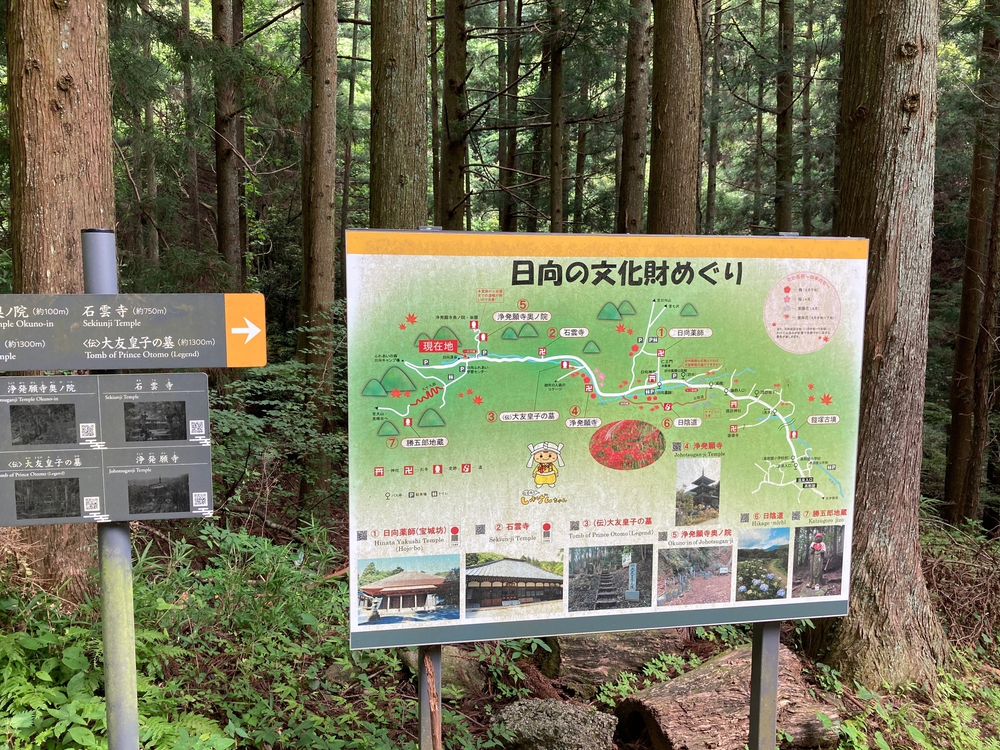 関東ふれあいの道　神奈川県　トレラン　N o.16 大山参り蓑毛のみちの写真3