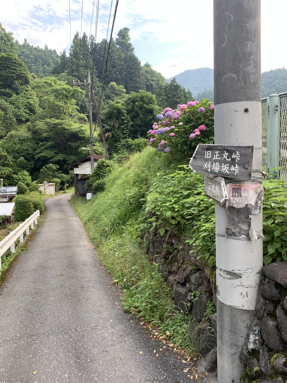 【トレイル】奥武蔵　丸山1wayの写真3