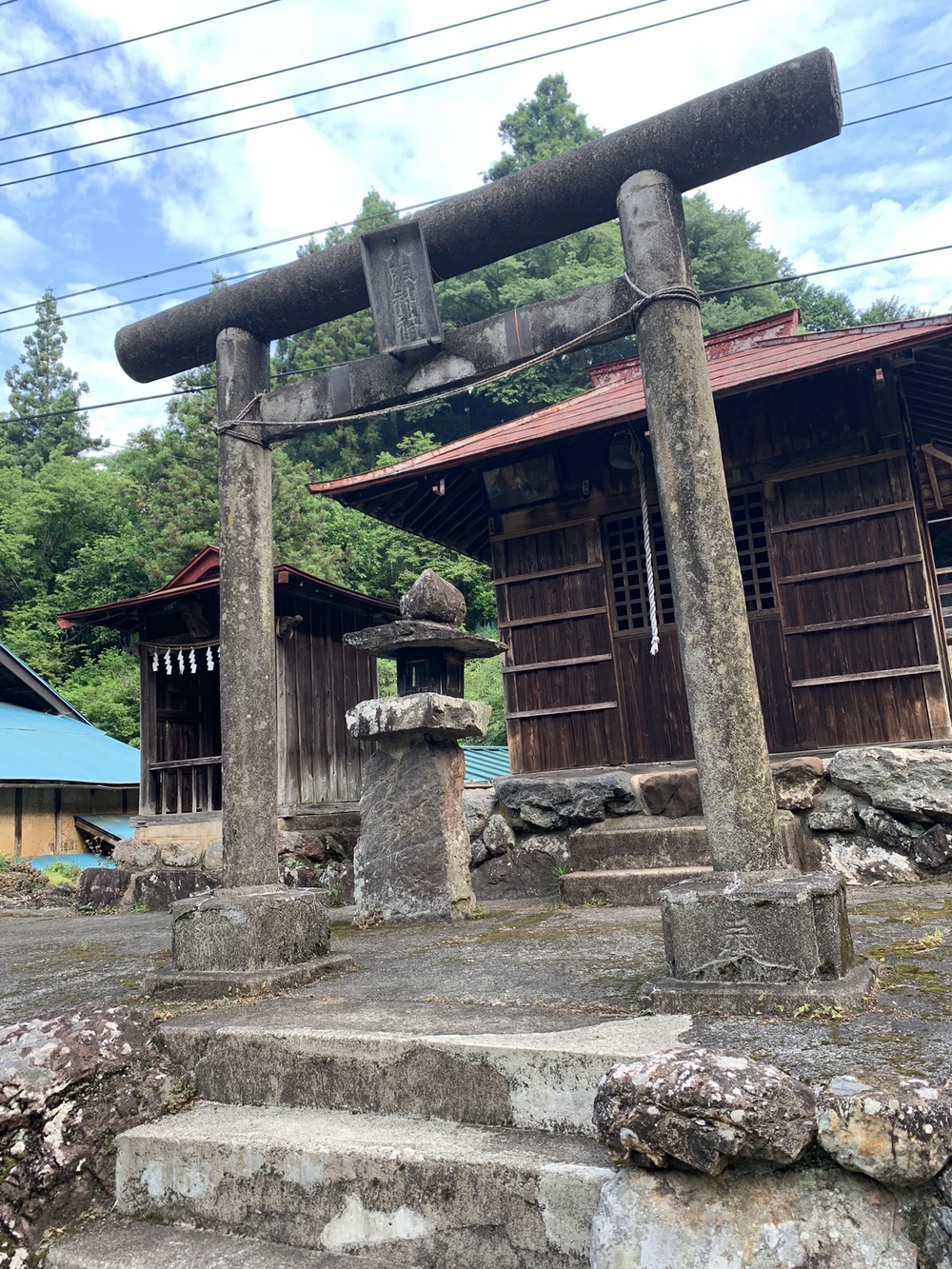 【トレイル】奥武蔵　丸山1wayの写真4