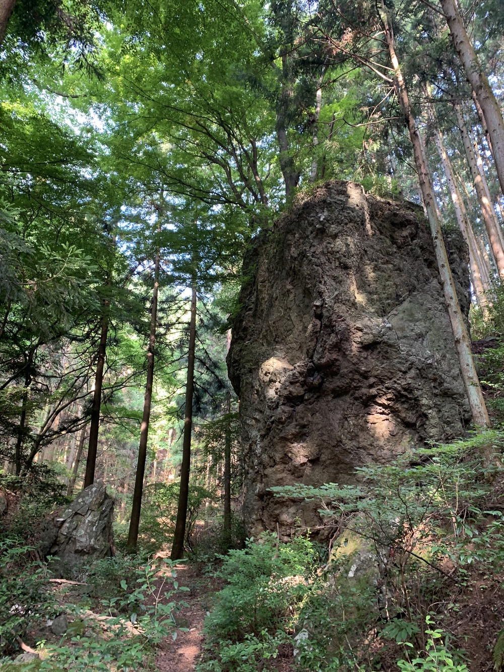 【トレイル】奥武蔵　丸山1wayの写真6