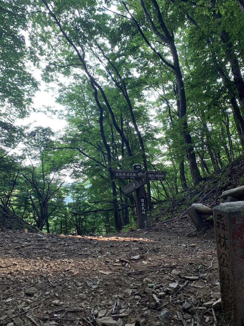 【トレイル】奥武蔵　丸山1wayの写真9