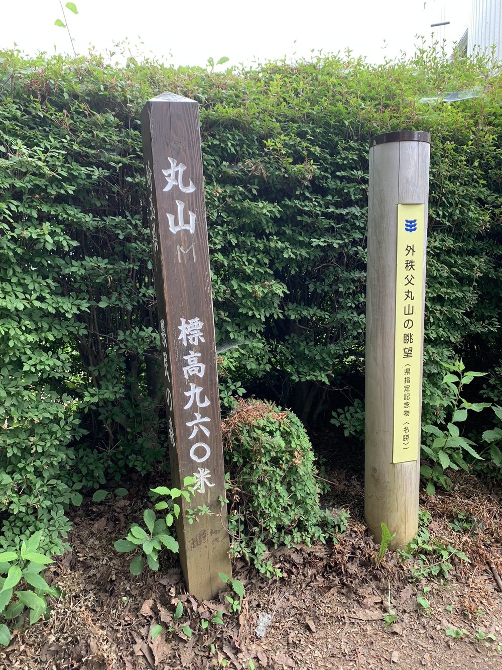 【トレイル】奥武蔵　丸山1wayの写真15