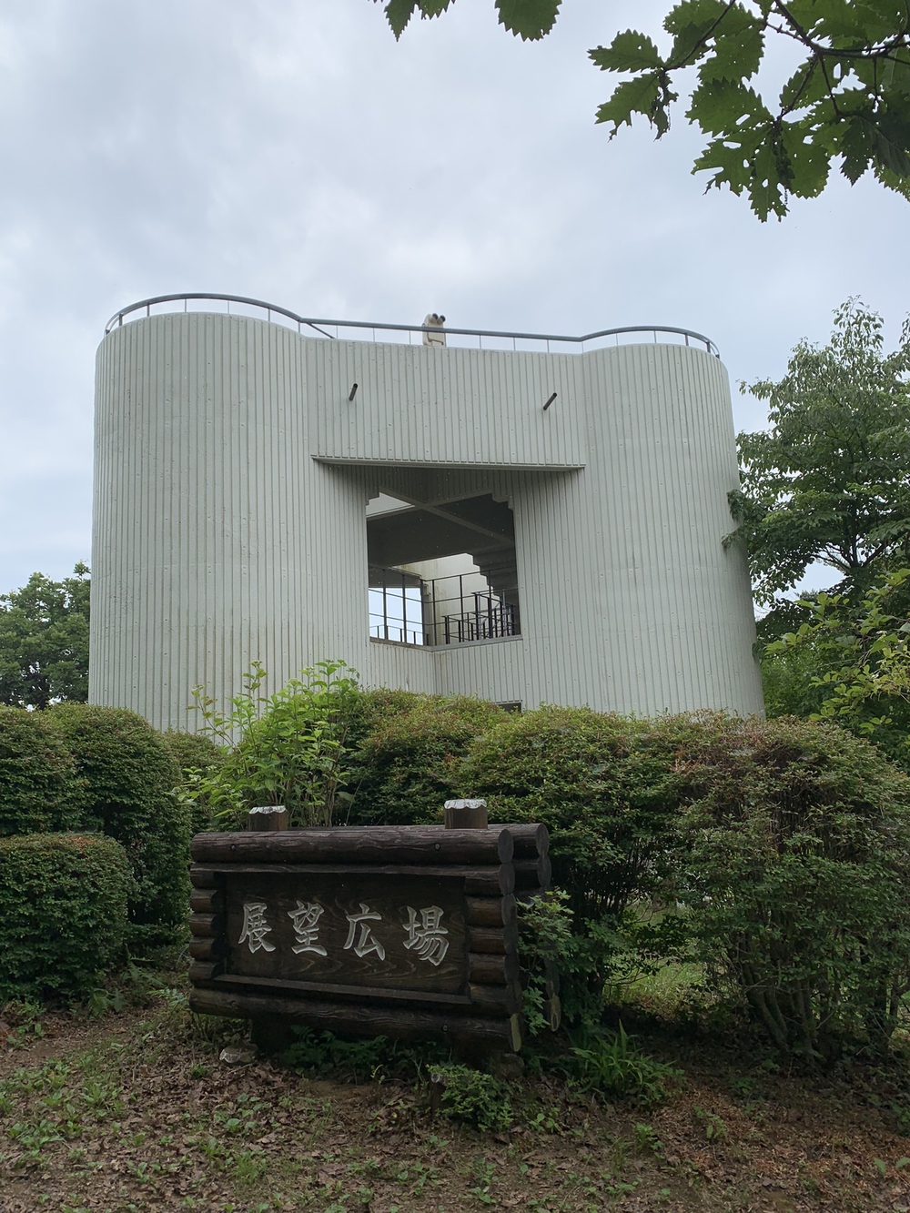 【トレイル】奥武蔵　丸山1wayの写真16