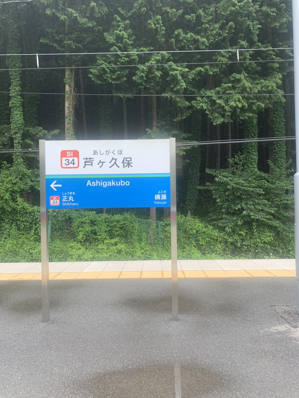 【トレイル】奥武蔵　丸山1wayの写真19