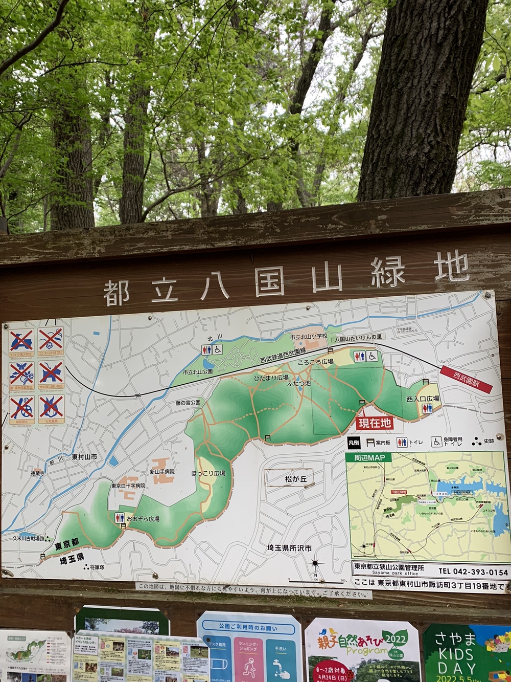 【トレイル】八国山緑地周回の写真5