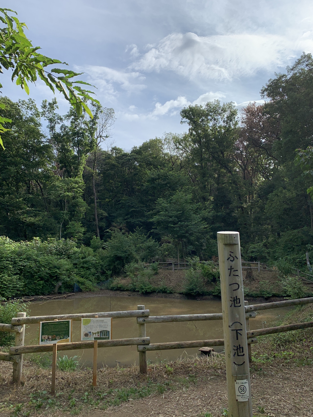 【トレイル】八国山緑地周回の写真7