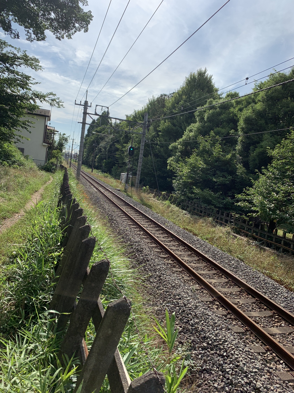 【トレイル】八国山緑地周回の写真10