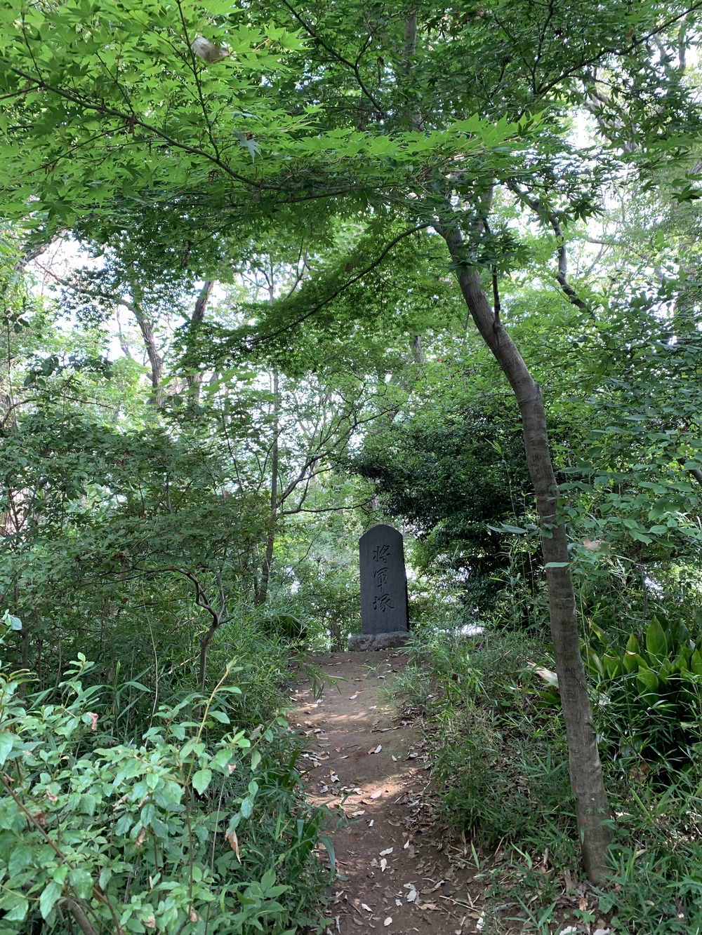 【トレイル】八国山緑地周回の写真13