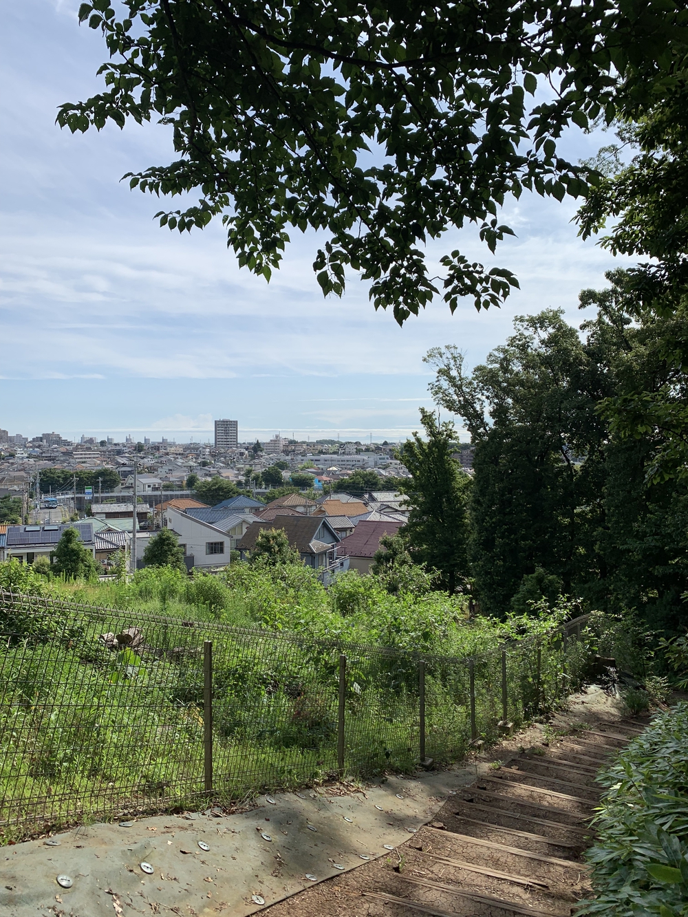 【トレイル】八国山緑地周回の写真14