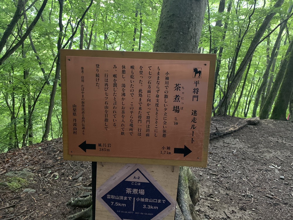 七ツ石山経由、雲取山ピストンの写真5