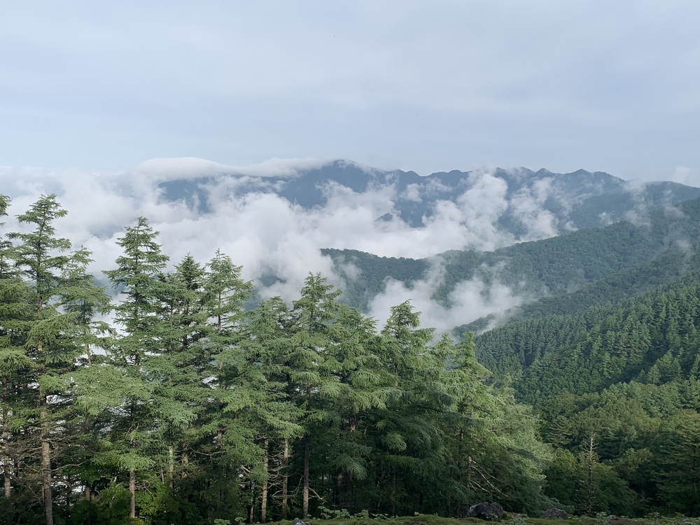 七ツ石山経由、雲取山ピストンの写真9