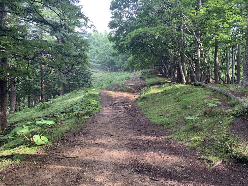 七ツ石山経由、雲取山ピストンの写真10