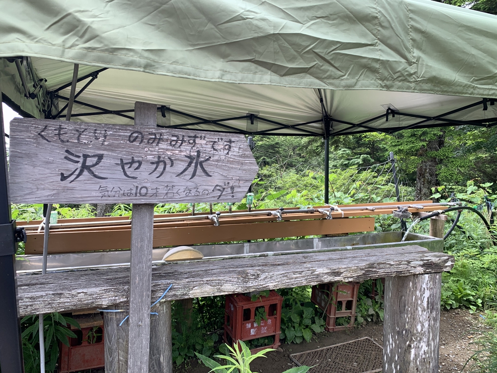 七ツ石山経由、雲取山ピストンの写真13