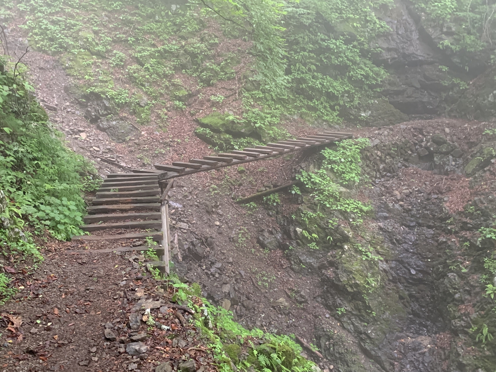 七ツ石山経由、雲取山ピストンの写真14