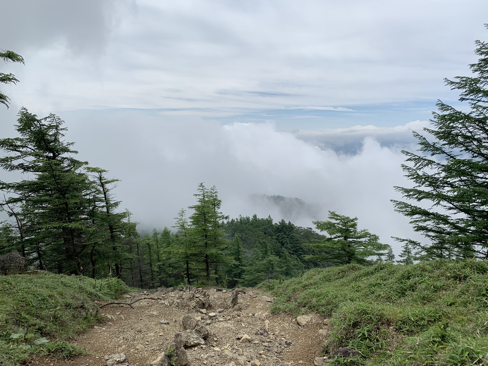 七ツ石山経由、雲取山ピストンの写真15