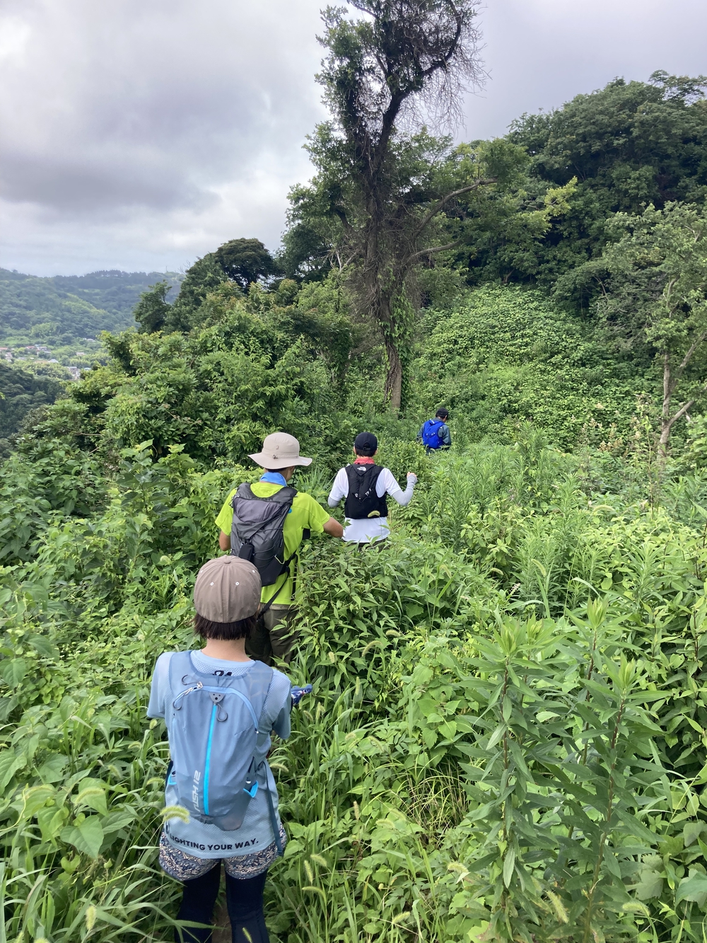 三浦アルプス低山×5⛰ゴールの景色はご褒美✨の写真3