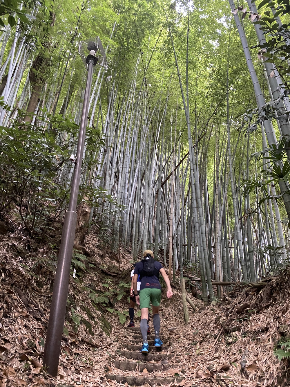 三浦アルプス低山×5⛰ゴールの景色はご褒美✨の写真5